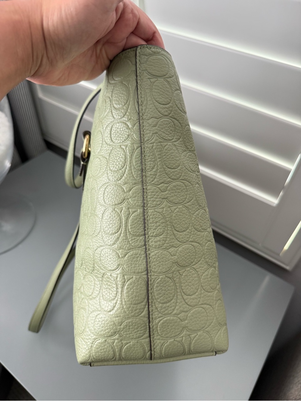 COACH OUTLET embossed leather Station Tote in Pistachio - Picture 11 of 12